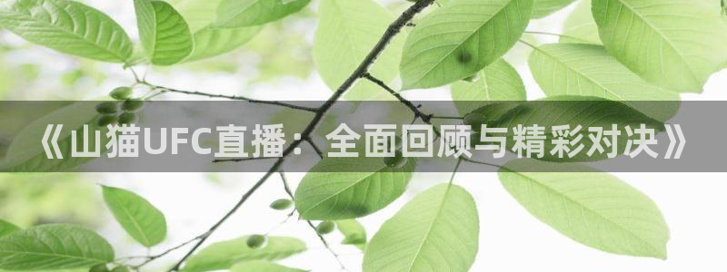 足球直播西瓜看球：《山猫UFC直播：全面回顾与精彩对决》