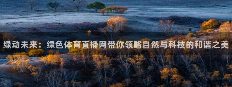 nba西瓜看球：绿动未来：绿色体育直播网带你领略自然与科技的和谐之美