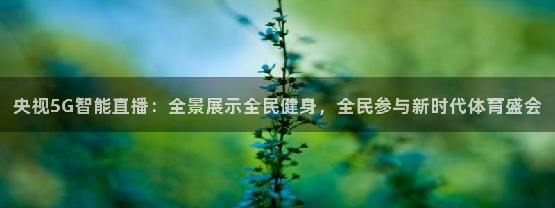 西瓜看球：央视5G智能直播：全景展示全民健身，全民参与新时代体育盛会