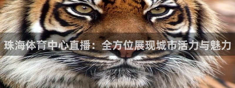 西瓜看球在线直播：珠海体育中心直播：全方位展现城市活力与魅力