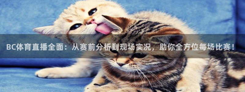 西瓜看球官网入口网址：BC体育直播全面：从赛前分析到现场实况，助你全方位每场比赛！