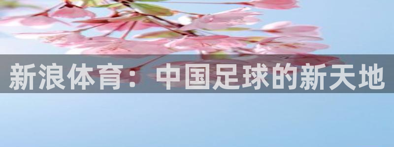 西瓜看球在线：新浪体育：中国足球的新天地