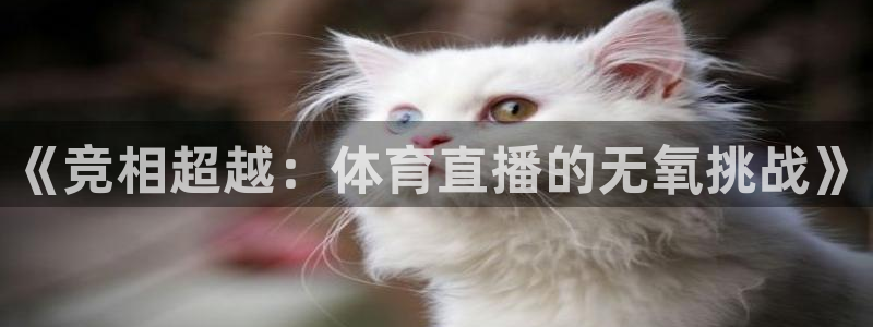西瓜看球直播app官网：《竞相超越：体育直播的无氧挑战》