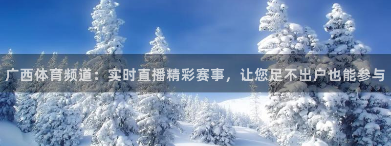 西瓜看球官网入口：广西体育频道：实时直播精彩赛事，让您足不出户也能参与