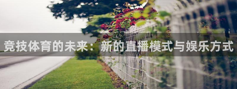 西瓜看球ios直播app：竞技体育的未来：新的直播模式与娱乐方式