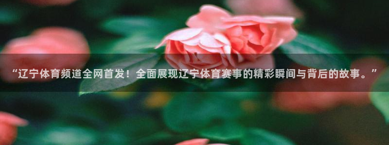 西瓜看球app官网入口：“辽宁体育频道全网首发！全面展现辽宁体育赛事的精彩瞬间与背后的故事。”